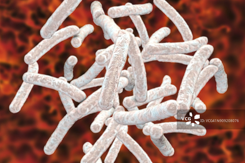 结核分枝杆菌图片素材