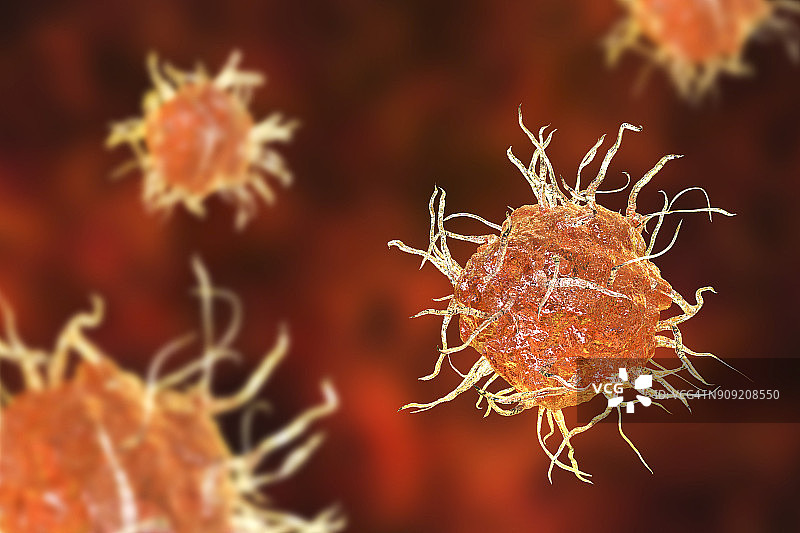 树突状细胞，图示图片素材