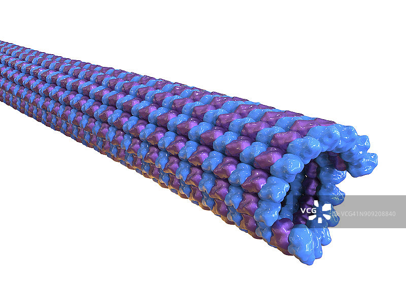 微管图示图片素材