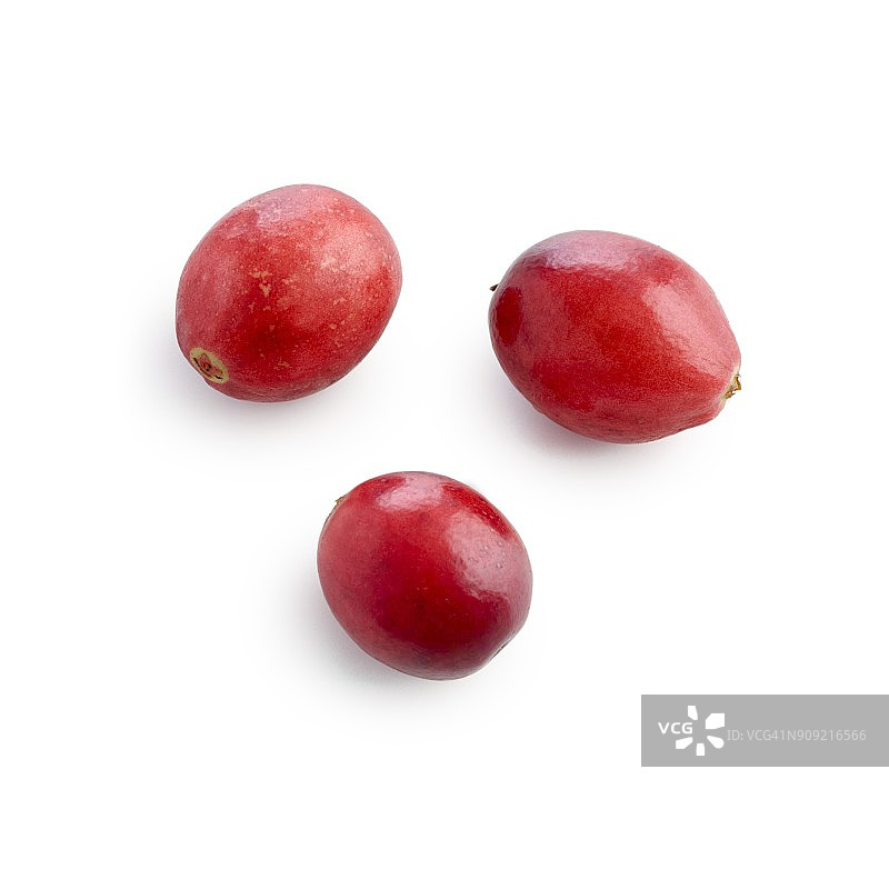 小红莓图片素材