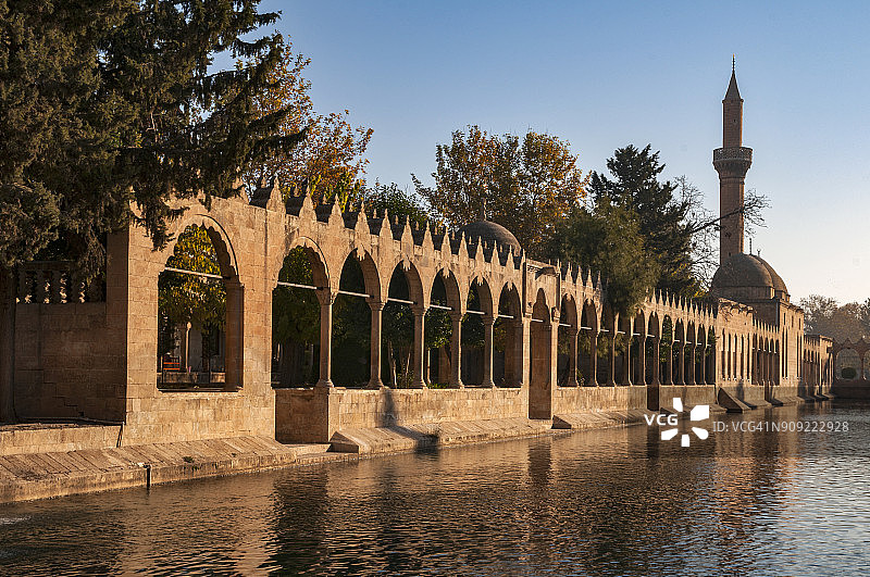 土耳其东南安纳托利亚桑尼乌尔法市带有里兹瓦尼耶清真寺的亚伯拉罕之池图片素材