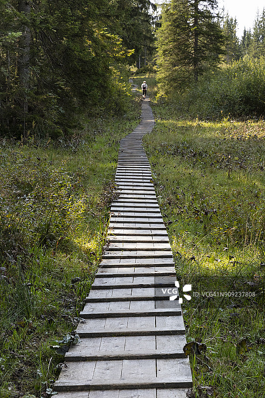 德国巴伐利亚上巴伐利亚基姆高Reit im Winkl：Winklmoosalm木板路图片素材