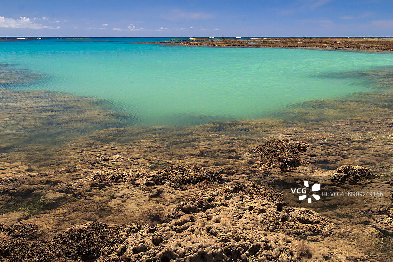 在帕塔乔海滩的天然岩石池在波尔图德佩德拉斯市-阿拉格斯州-巴西图片素材