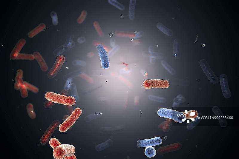 水中的细菌插图图片素材