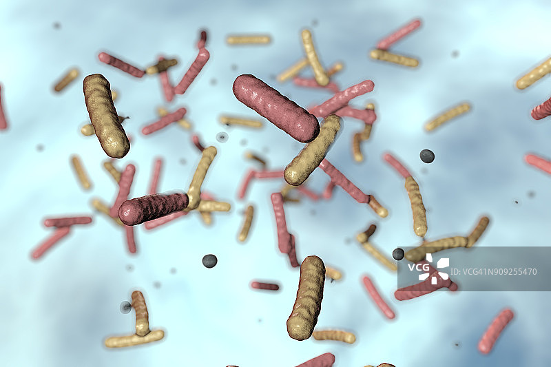 水中的细菌插图图片素材