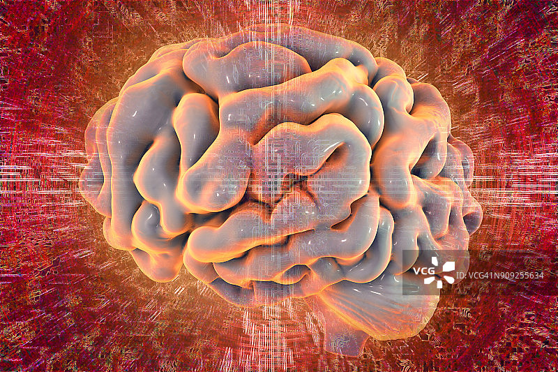 人类大脑、插图图片素材
