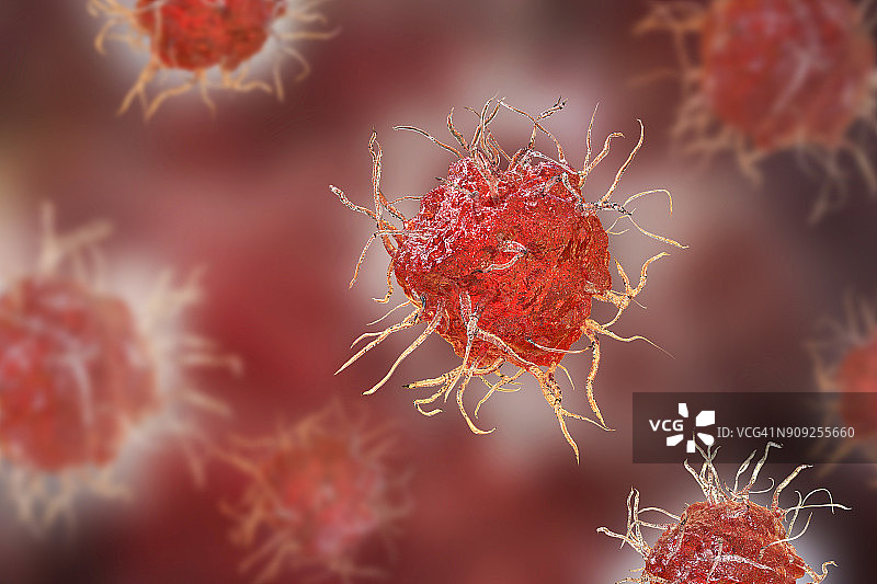 树突状细胞插图图片素材