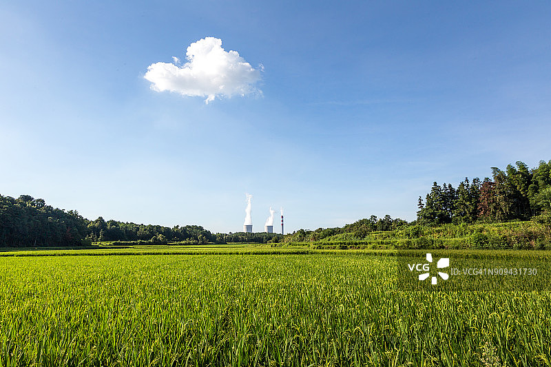 蓝天下稻田前的火力发电站图片素材