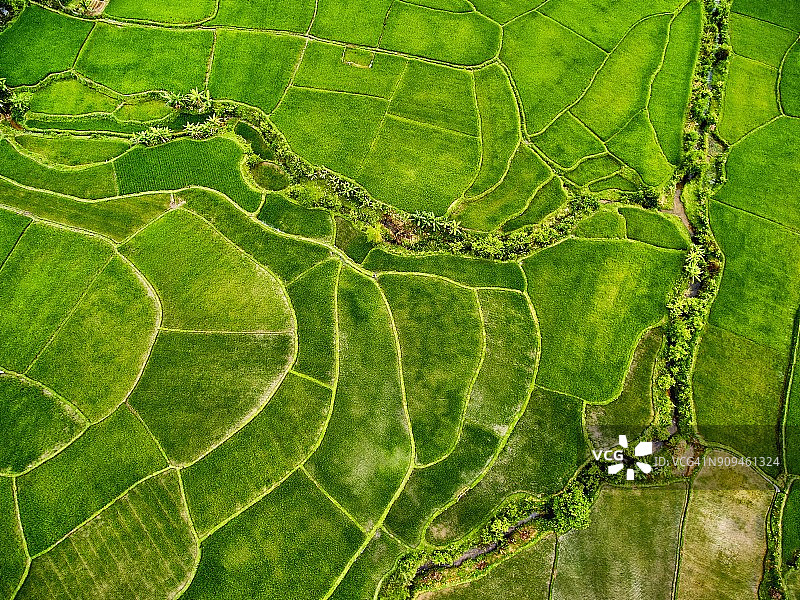 越南北部梅州风景山谷图片素材