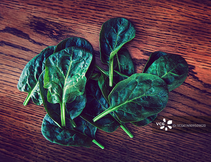 菠菜叶图片素材