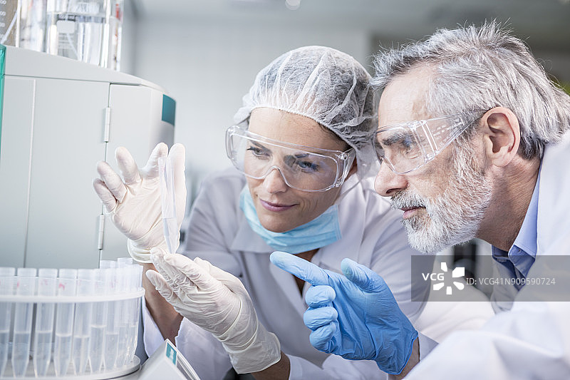 两位科学家在实验室检查样本图片素材