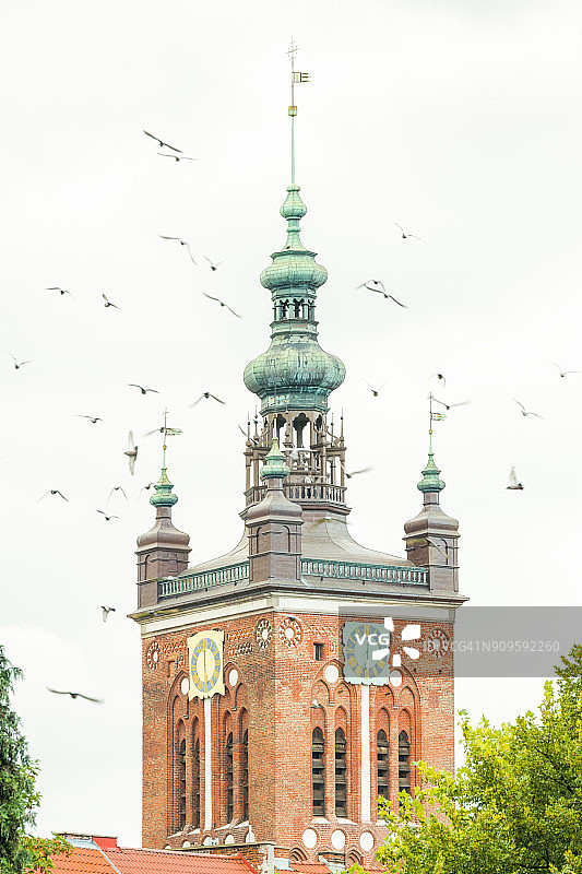 波兰波美拉尼亚格但斯克市政厅塔楼和海鸥图片素材