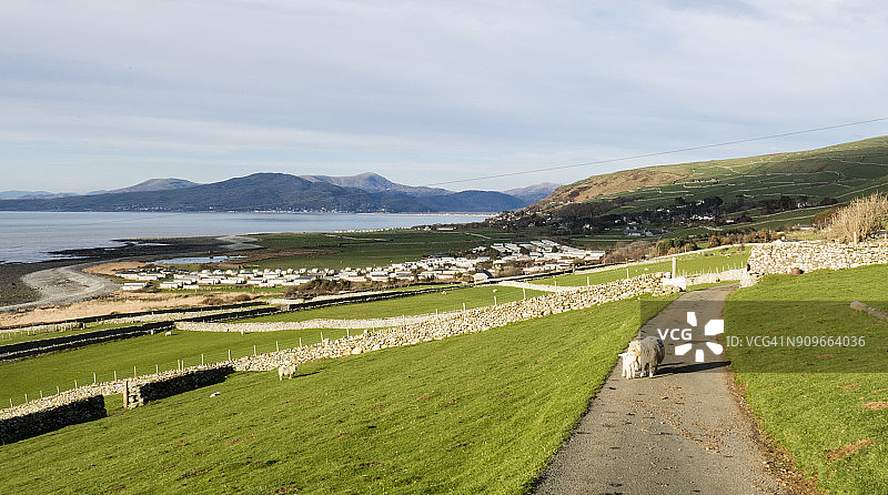 博斯和哈莱克之间的卡迪根湾沿岸的威尔士海岸小路图片素材