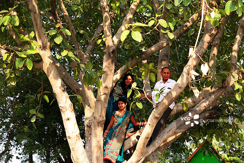 在大榕树下的一家人图片素材