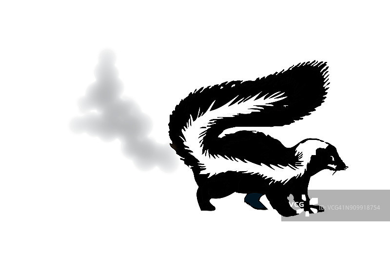 臭鼬图片素材