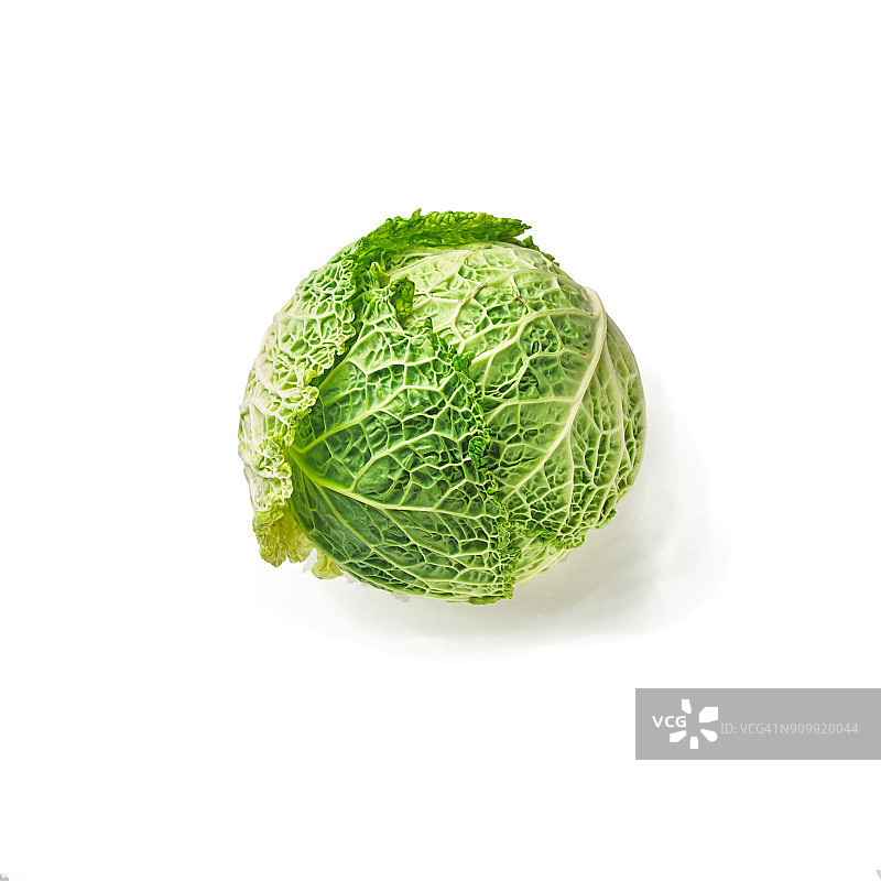 皱叶甘蓝图片素材