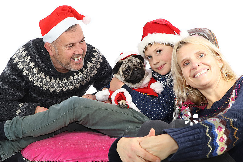 圣诞家庭巴哥犬合影图片素材