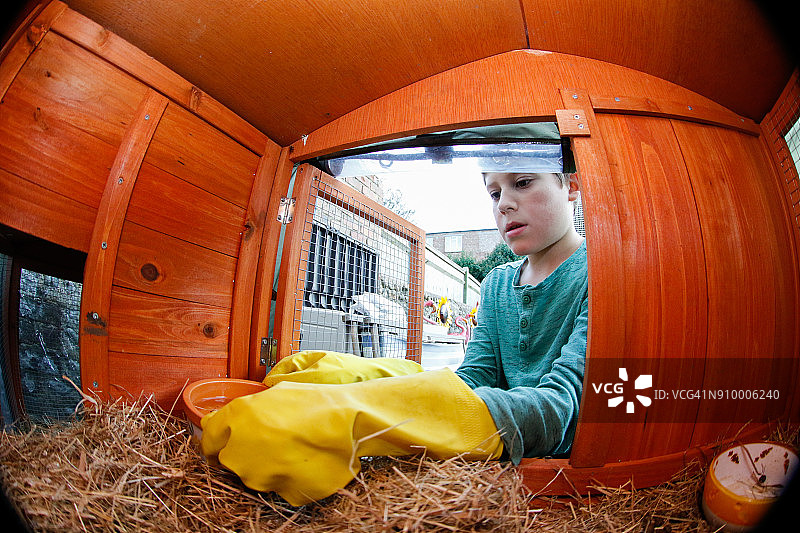 男孩清理兔子笼图片素材
