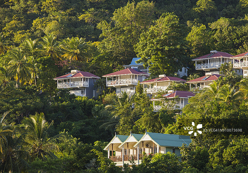 圣卢西亚马里戈特湾，青翠山坡上的典型小屋群图片素材