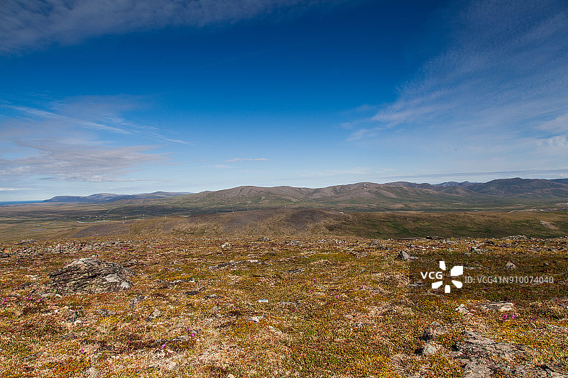 阿拉斯加图片素材