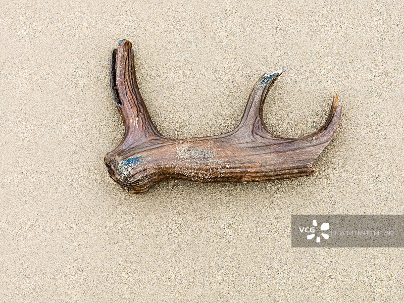 博斯和哈莱克之间的卡迪根湾沿岸的威尔士海岸小路图片素材