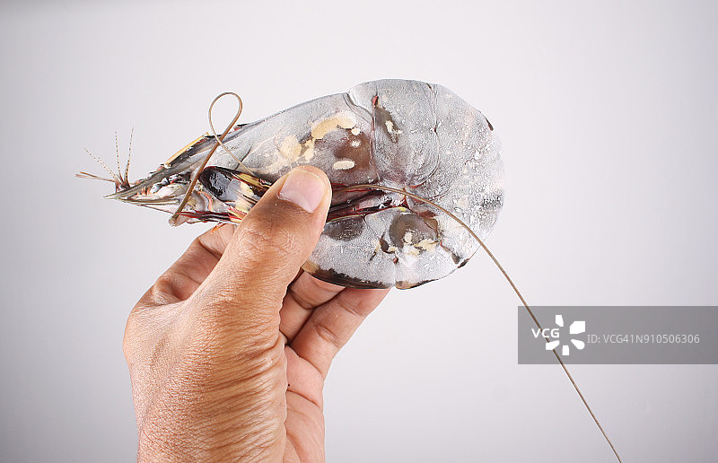 冷冻虾图片素材