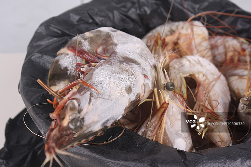 冷冻虾图片素材