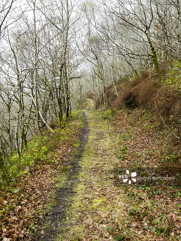 哈莱克和波斯马多格之间的威尔士海岸小路图片素材
