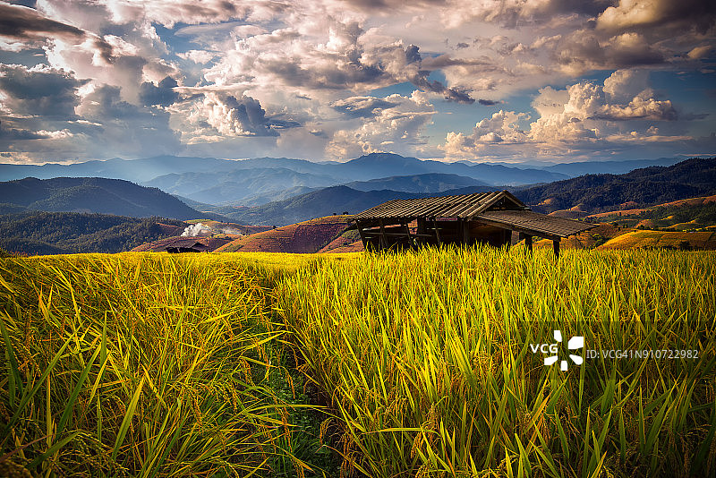 泰国清迈府湄占村的梯田图片素材