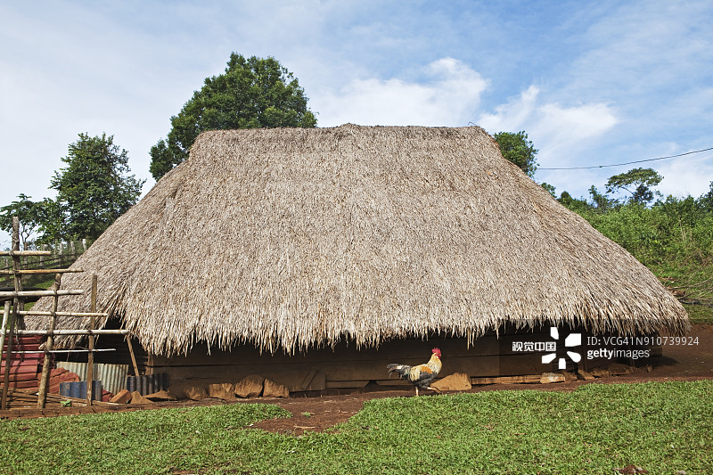 柬埔寨蒙多基里省的传统房屋图片素材
