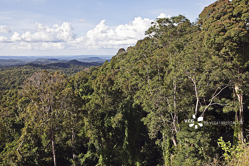 蒙多基里省山区丛林景观图片素材
