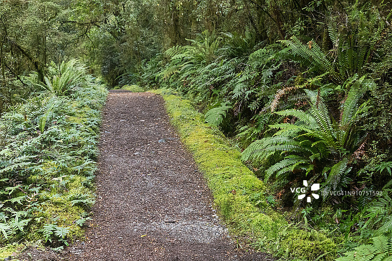 米尔福德赛道图片素材