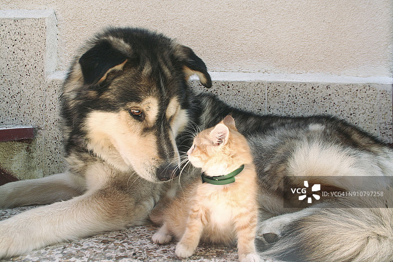 永远的朋友！图片素材