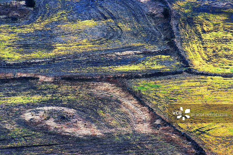 草地上的引人注目的图案图片素材
