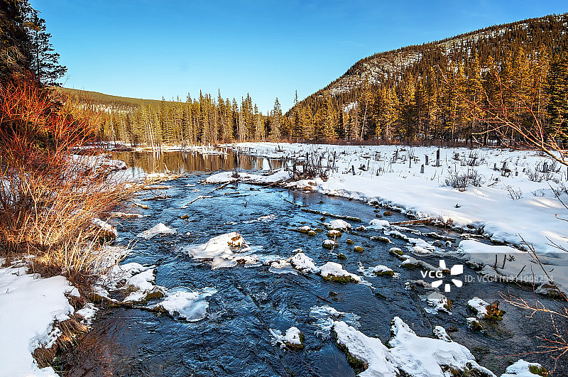 加拿大阿尔伯塔省布拉格克里克的河狸池塘图片素材