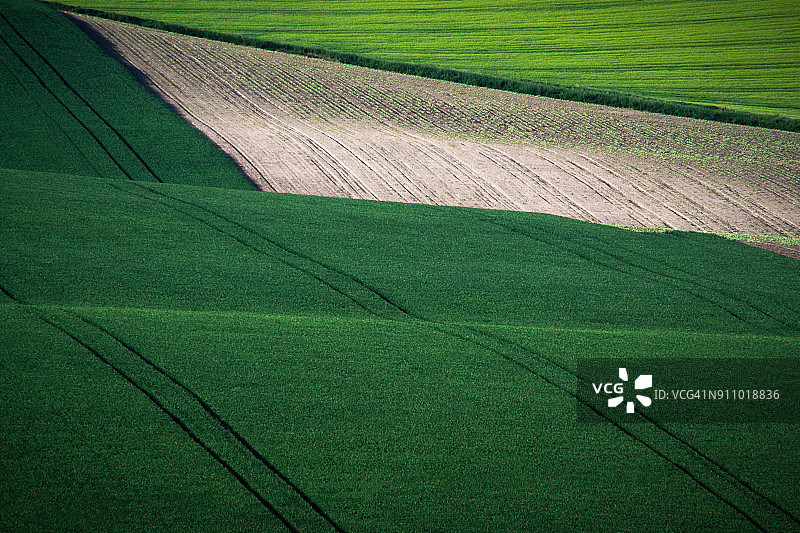 绿色灰色春季田野抽象背景图片素材
