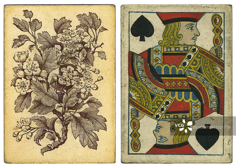 19世纪复古扑克牌背面山楂树花图片素材