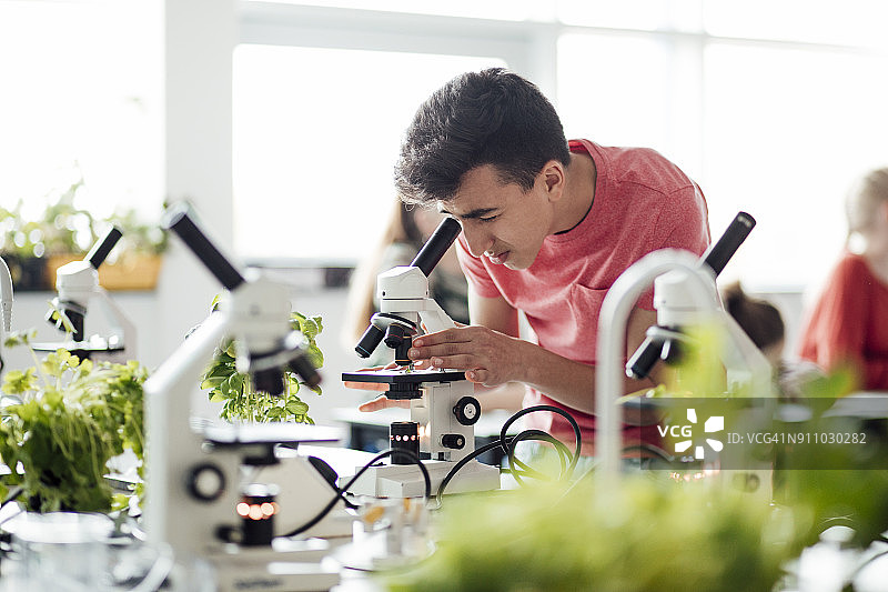 学生低头看显微镜图片素材