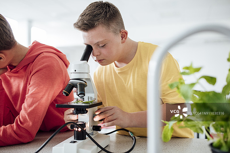 显微镜视角图片素材