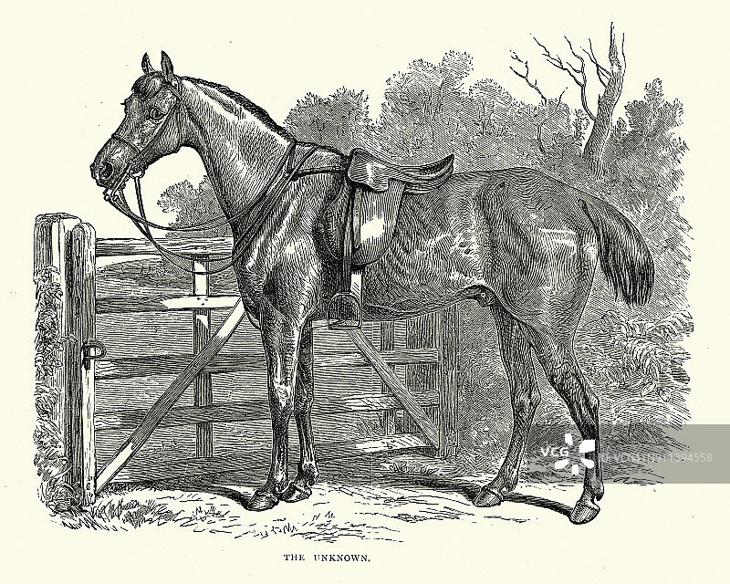 系在门柱上的维多利亚时期马匹和马鞍，19世纪图片素材