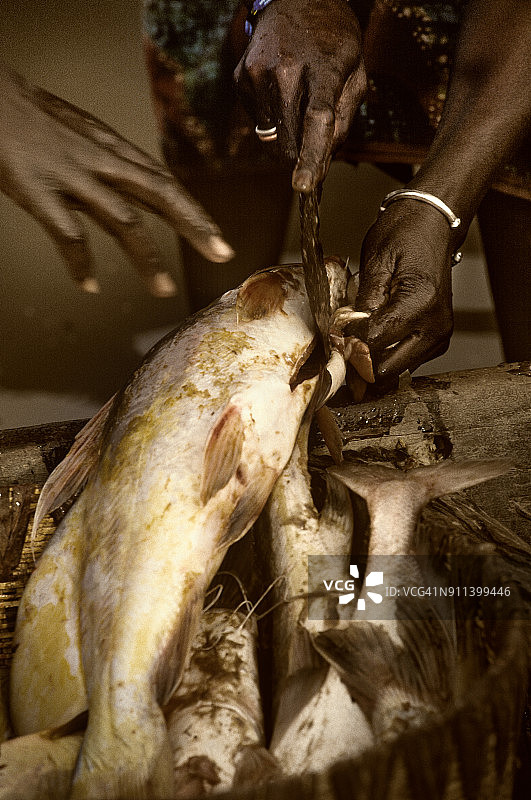 马里莫普提,非洲 - 城市港口,巴尼河与尼日尔河交汇处图片素材