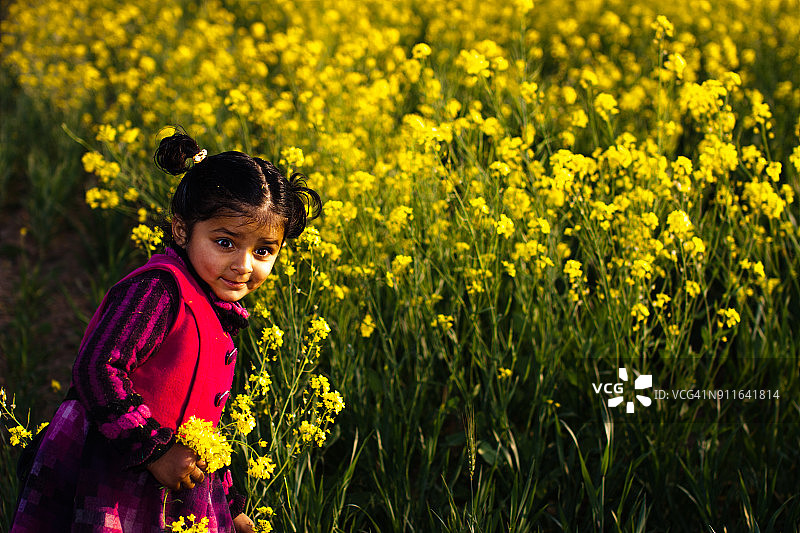 女孩在芥菜田中采摘鲜花图片素材