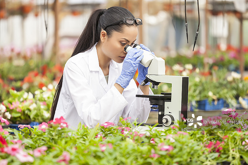 植物学家采集植物样本图片素材