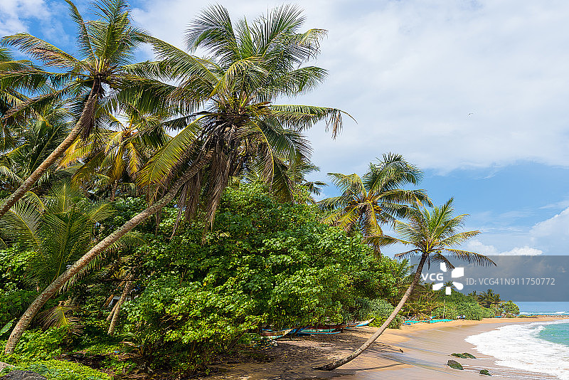 斯里兰卡米瑞莎海滩图片素材