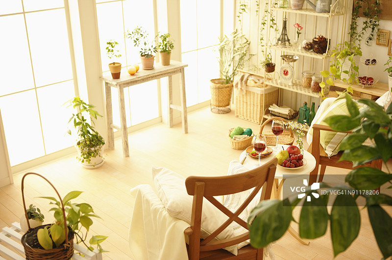 带盆栽植物的客厅图片素材
