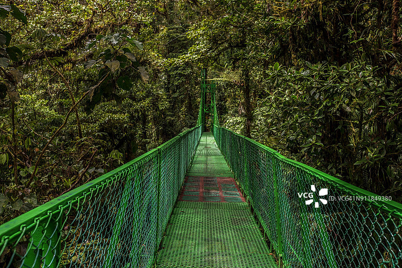 哥斯达黎加蒙特维多图片素材