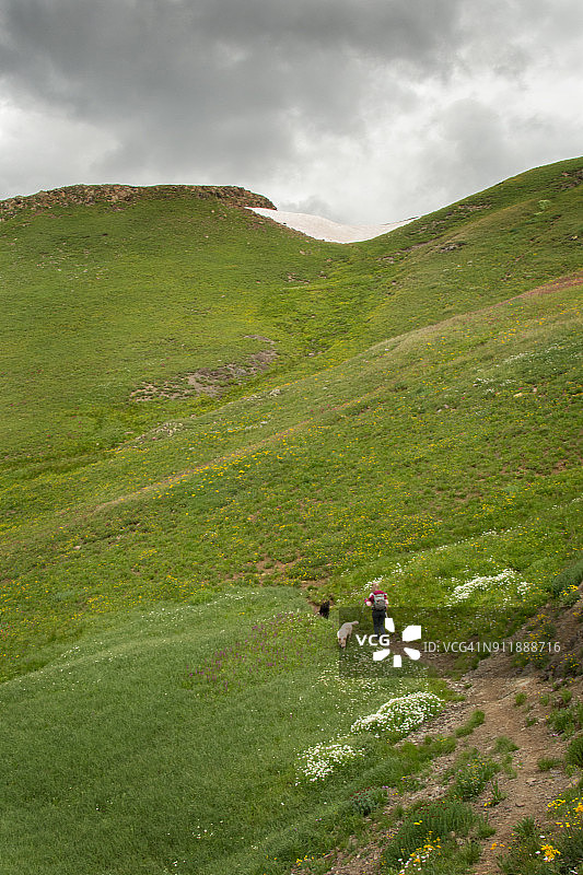 带两只狗在山路上徒步旅行图片素材