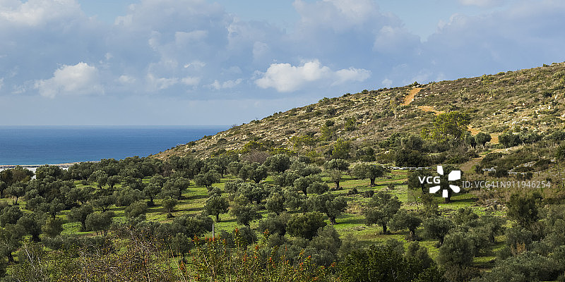 多云天空下的树木山丘和水景图片素材