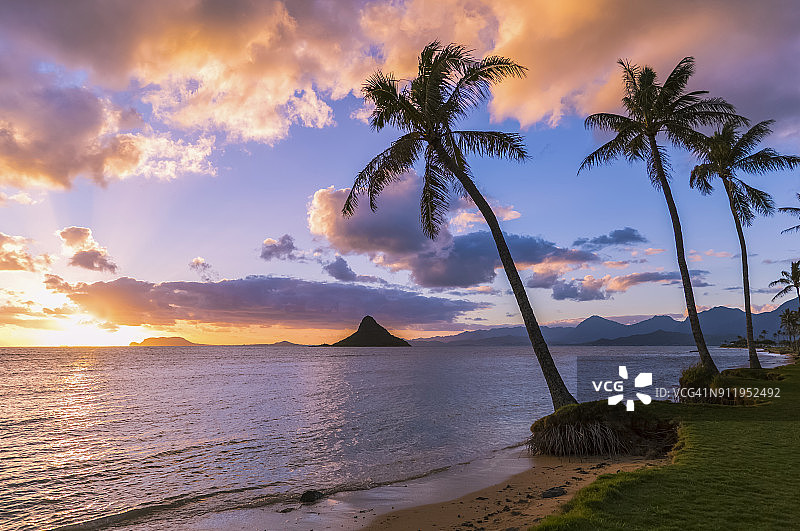 在库阿洛阿海滩公园日出俯瞰莫科利伊图片素材