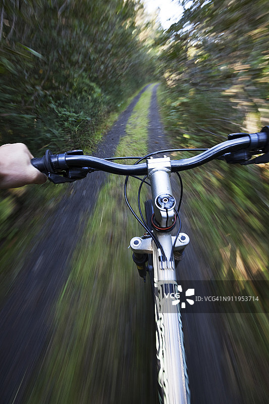 在森林小径上的山地自行车图片素材